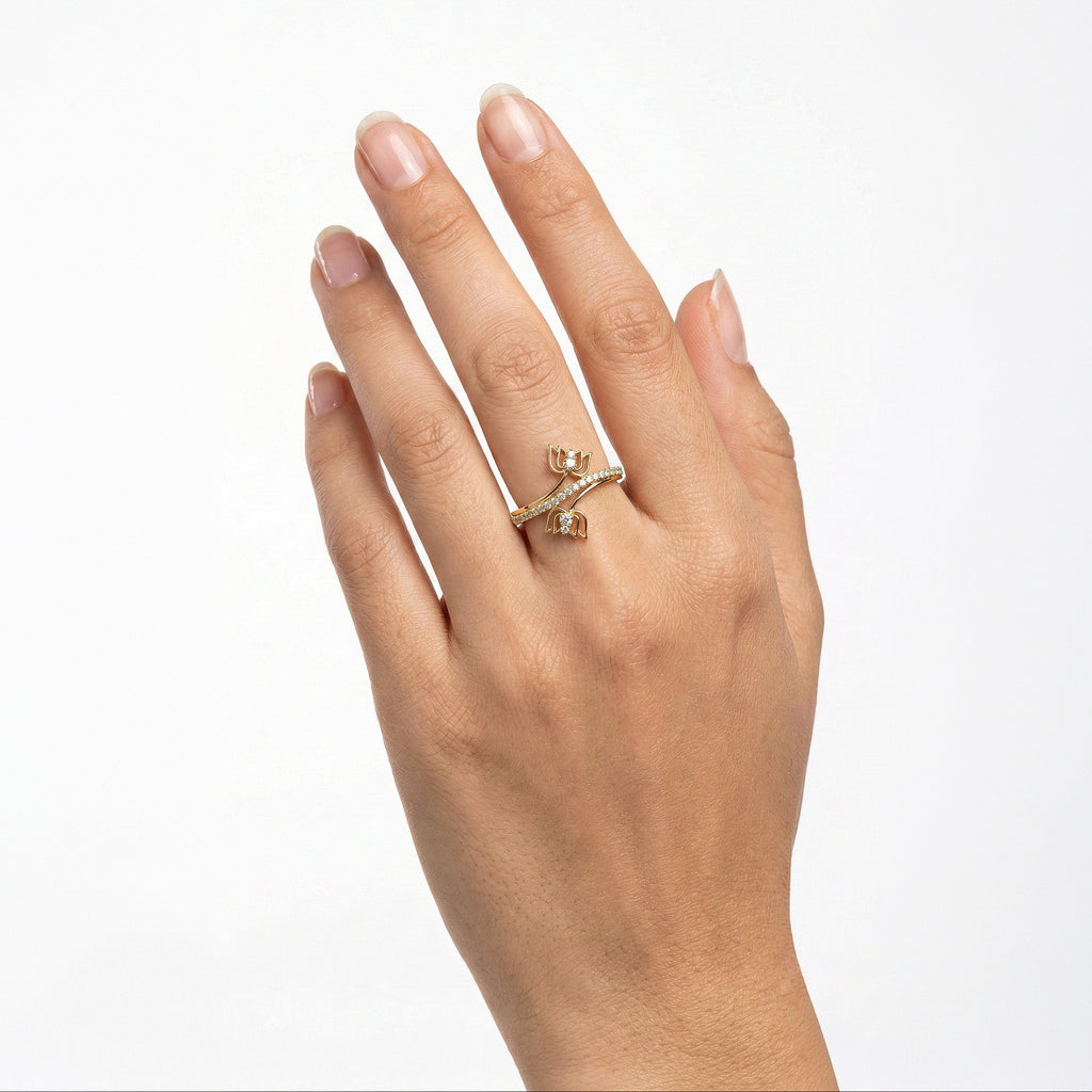 The Nirvana Ring