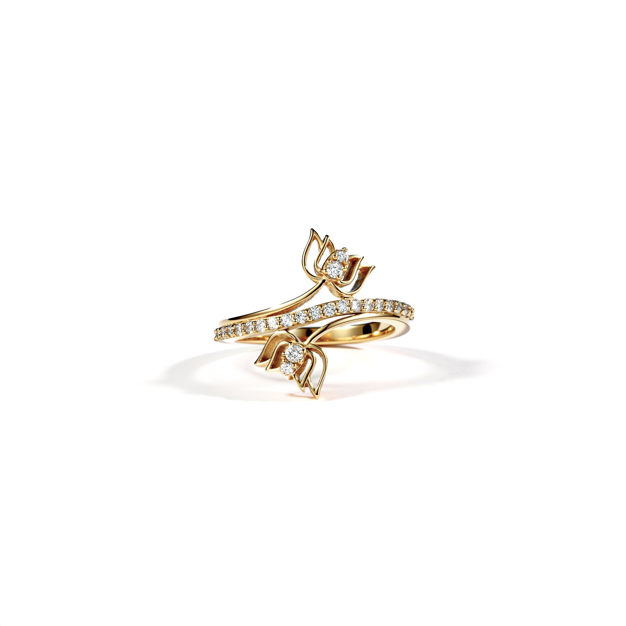 The Nirvana Ring